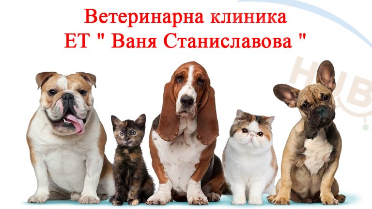 etvaniastanislavova